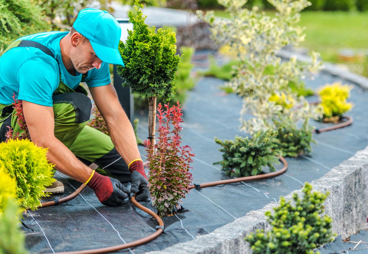 5 conseils pour choisir son paysagiste - 1000 Décos