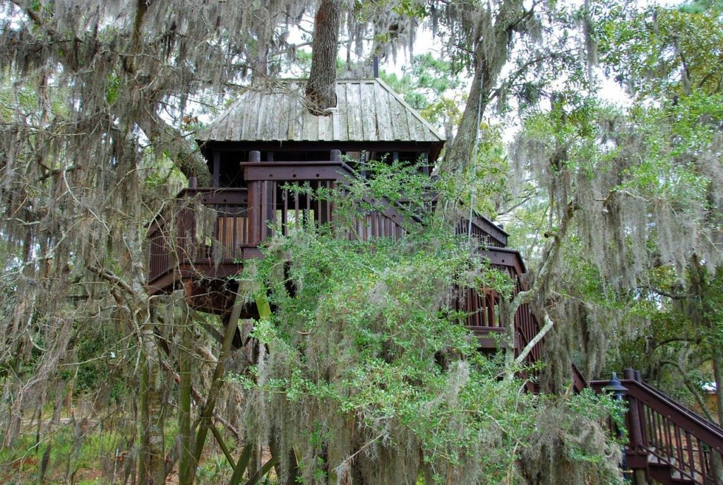 maison dans la forêt - cabane en bois
